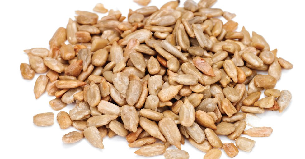 seeds1.jpg